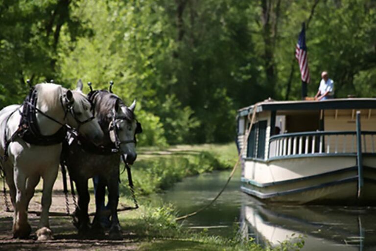 CanalBoat 1 768x513