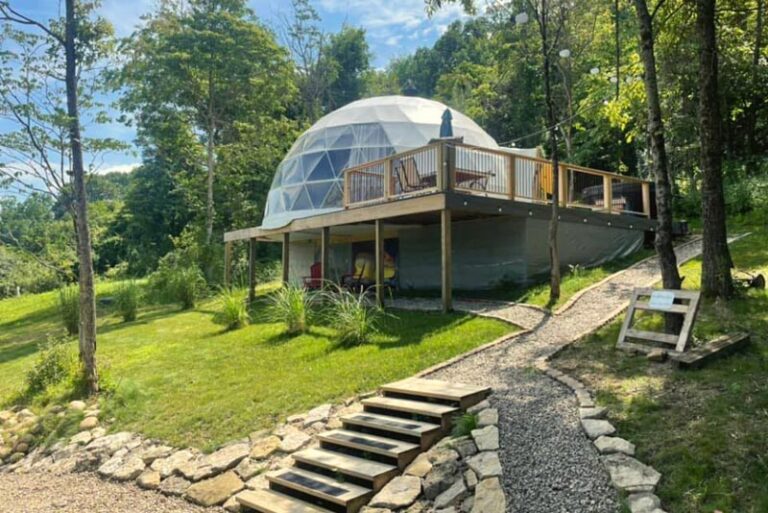 Hobbit Dome 1 768x513