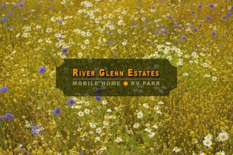 River Glenn Estates 1 768x513