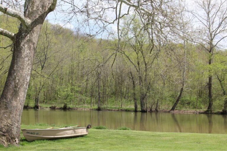 Shady Grove Campground 1 768x513